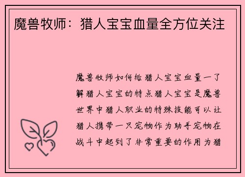 魔兽牧师：猎人宝宝血量全方位关注